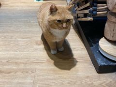 -小时光咖啡馆(开森度假森林店)