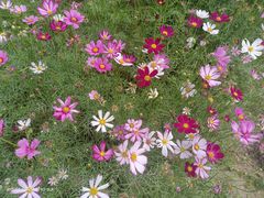 -三亚南山文化旅游区