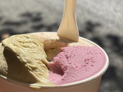 -Dip in Gelato(富民路店)