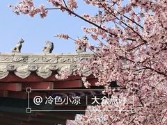 -桃花堤公园