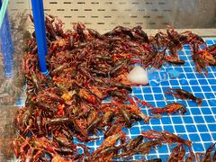 -半岛听涛蒸汽海鲜自助(K11店)