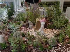 -春树下·树屋花房西餐厅(罍街AS1980店)