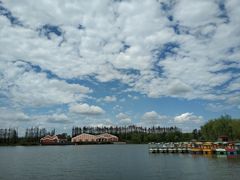 -上海长兴岛郊野公园