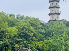 -江心屿景区