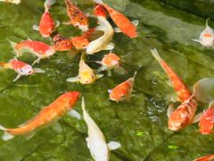 -惠食佳(滨江大公馆店)