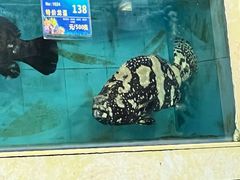 -旺富东海大酒楼(海鲜街店)