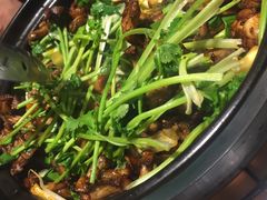 夜郎蛙-众悦夜郎蛙美食餐厅(太原南街店)