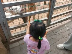 -银树楼(紫玉山庄东区店)