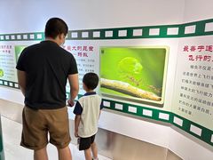 -上海昆虫博物馆