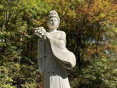 -天女山森林公园