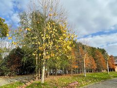 -上海海湾国家森林公园