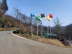 -南京老山国家森林公园