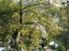 -怪咖·joker陈楠