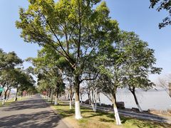 -东钱湖旅游度假区