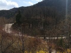 -北京鹫峰国家森林公园
