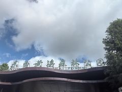 -黄海国家森林公园