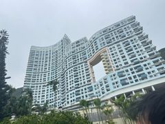 -Big Bus Tours 敞篷观光巴士