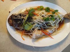 -天鹅到家·保姆月嫂育儿嫂(总店)