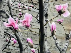 -东华门大街小区