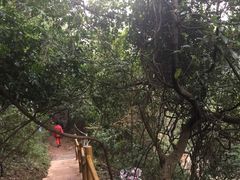 -牛鱼嘴原始生态风景区-停车场