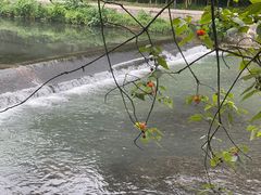 -兰亭风景区