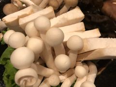 菌菇拼盘-湊湊火锅·茶憩(新中关购物中心店)