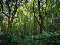 -苏州河梦清园环保主题公园