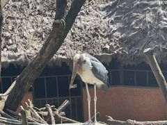 -云南野生动物园