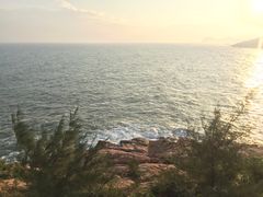 -广东惠东海龟国家级自然保护区