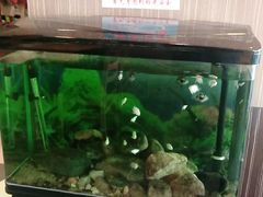 -李先生牛肉面大王(华联商厦店)