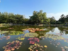 -国家植物园南园