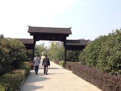 iphone_upload_pic-三山岛