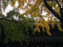 -西园戒幢律寺