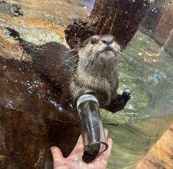 -Zoolung Zoolung动物主题公园(海信广场店)