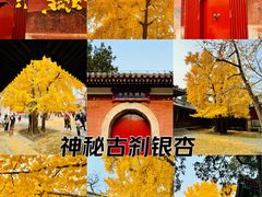 -承恩寺