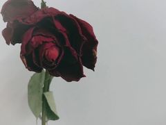 -肯德基(杭州复兴店)