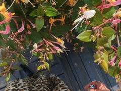 -La Medina餐厅(亮马河南路店)