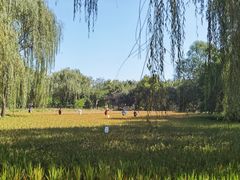 -北坞公园