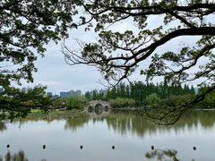 -江心屿景区