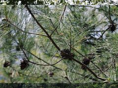 -重庆云阳龙缸景区