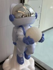 -宝生月子中心(独栋园林·福田店)