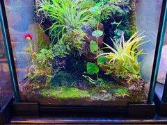 水产区-Rabbit Cafe私房西餐甜点咖啡(栖霞路店)