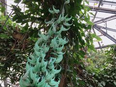-华南国家植物园-售票处