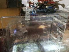 糖炒酸杏干-大桥道食品(中山路店)