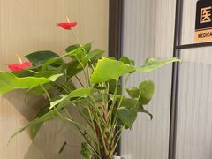 -南京君和堂中医门诊部