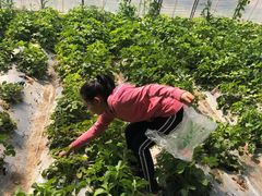 -万源龙顺度假庄园生态观光园