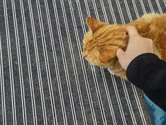 -星巴克(上海交通大学店)