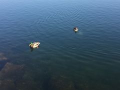 -金斯顿千岛群岛游轮