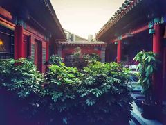 -百好乐宠物友好餐厅(朝外大街店)