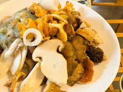 菌火锅-山菌美食苑(振兴路店)